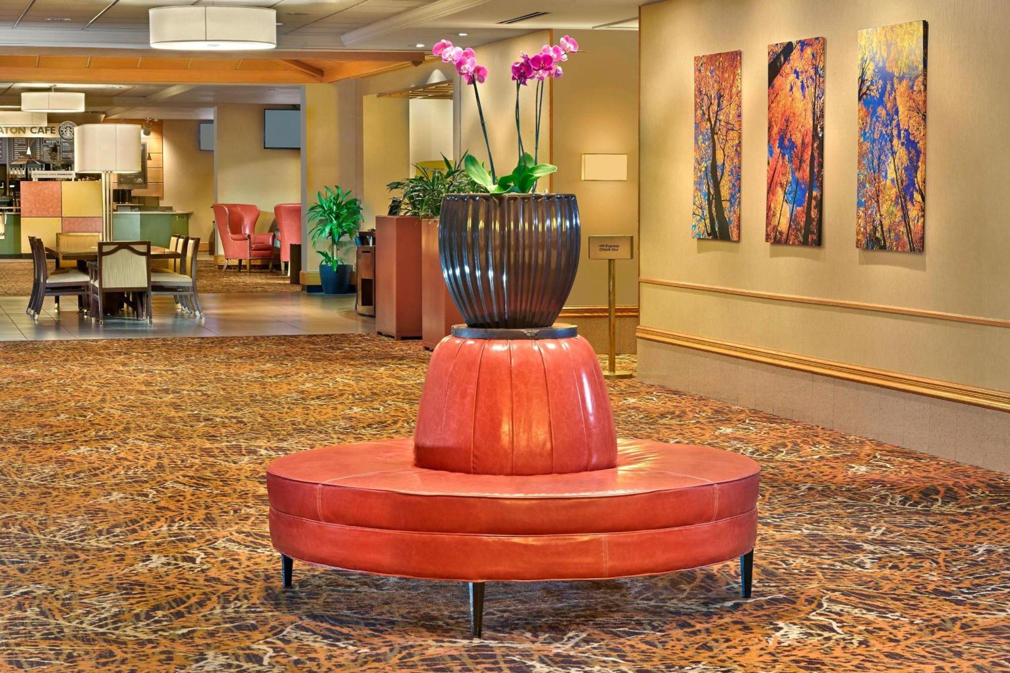 Sheraton Hartford Hotel at Bradley Airport Windsor Locks Eksteriør billede